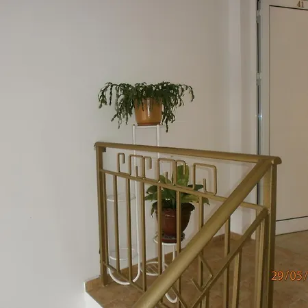 Kupenova ソゾポル